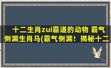 十二生肖zui霸道的动物 霸气侧漏生肖马(霸气侧漏！揭秘十二生肖中zui霸道的动物，生肖马为中心的个性特点！)